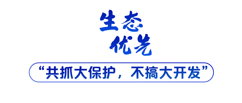 學習關鍵詞丨聽，長江經(jīng)濟帶高質(zhì)量發(fā)展“協(xié)奏曲”