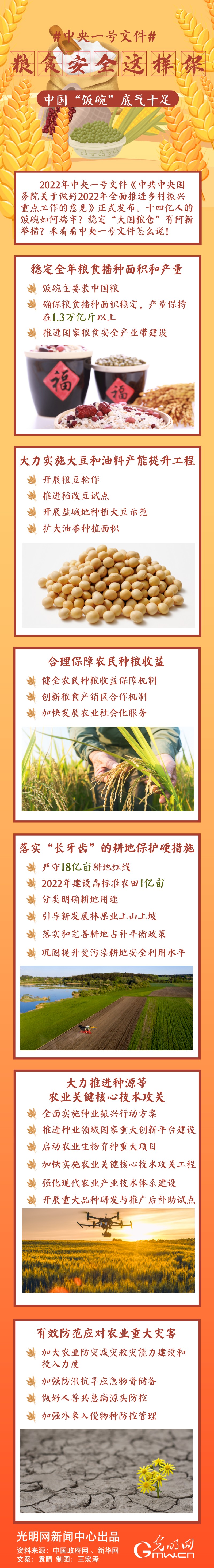 中央一號(hào)文件｜糧食安全這樣保，中國(guó)“飯碗”底氣十足