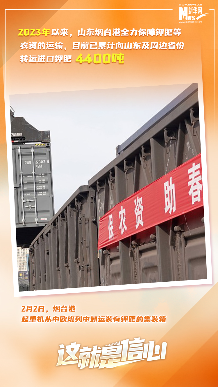 這就是信心｜實(shí)干爭春早，外貿(mào)樞紐貨運(yùn)忙