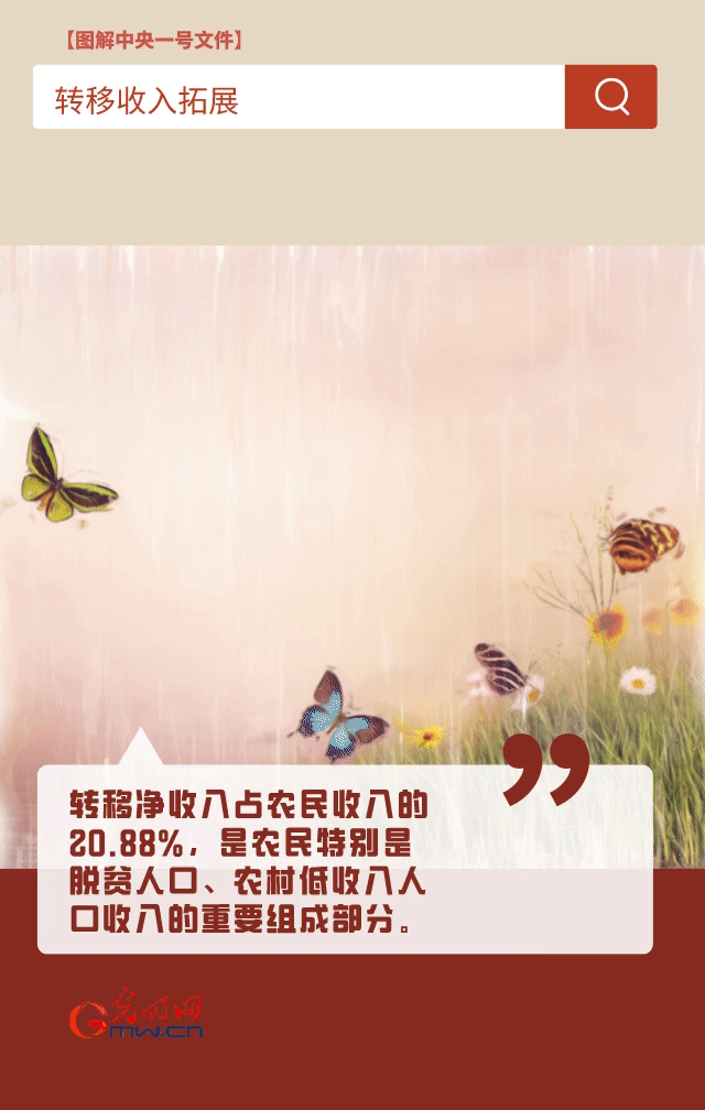 【圖解中央一號文件】“動”漫海報丨今年如何讓農(nóng)民的“錢袋子”鼓起來？