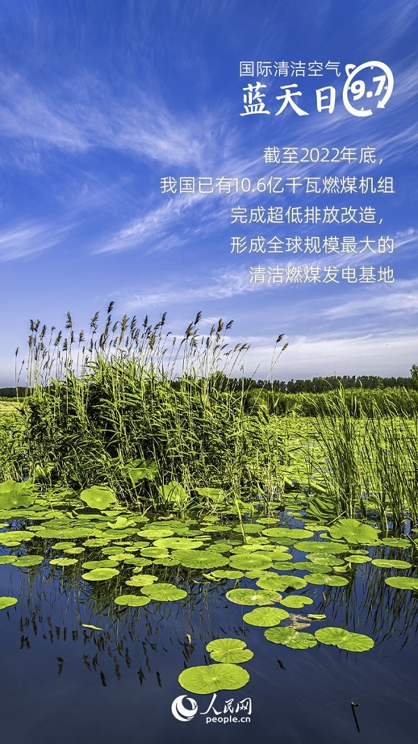 資料來源：生態(tài)環(huán)境部、人民日報