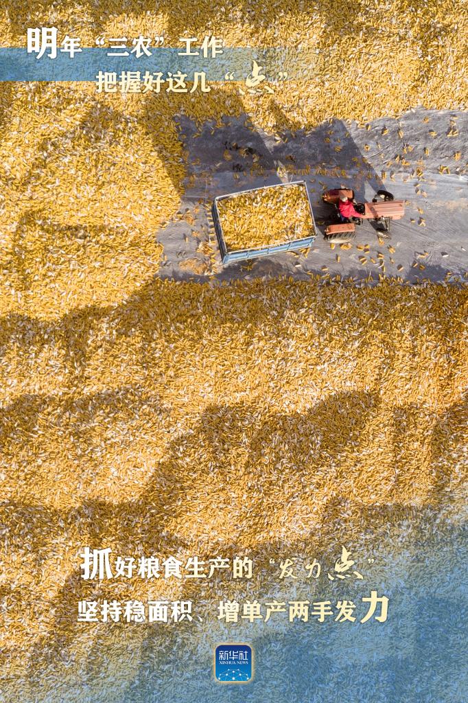 明年“三農”工作，這幾個“點”要把握好