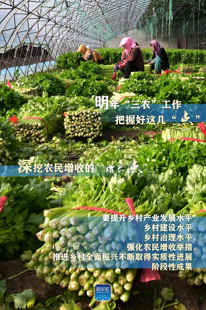 明年“三農”工作，這幾個“點”要把握好