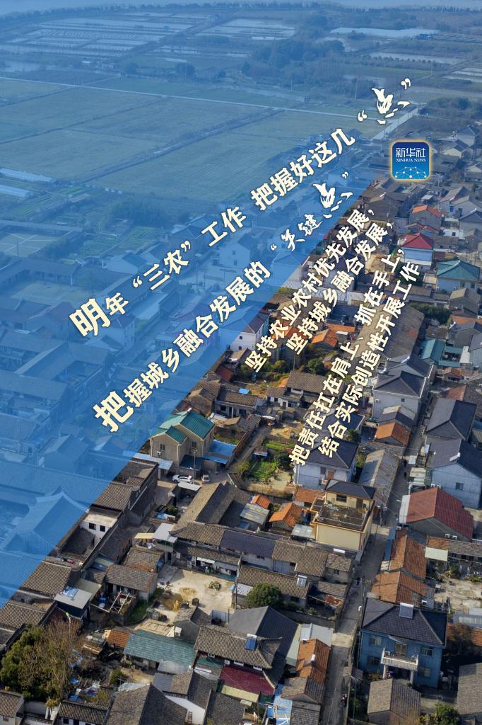 明年“三農”工作，這幾個“點”要把握好