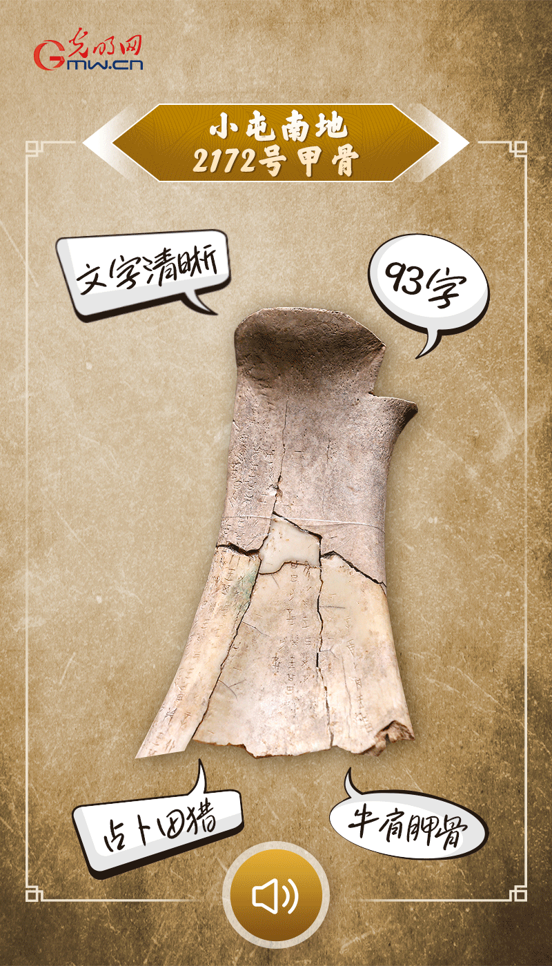 文物會(huì)說話 | 殷墟博物館新館開館啦，帶你奔赴“千年之約”