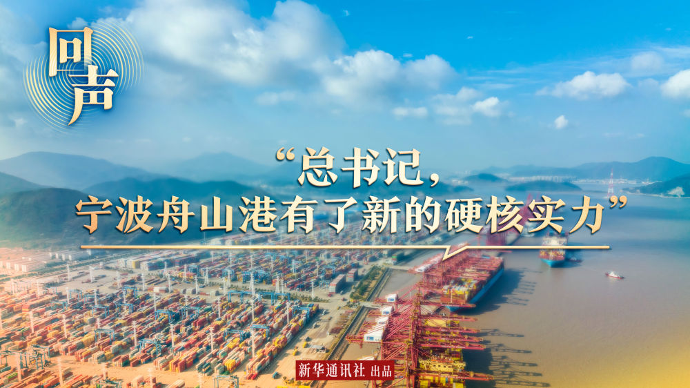 回聲｜“總書記，寧波舟山港有了新的硬核實力”