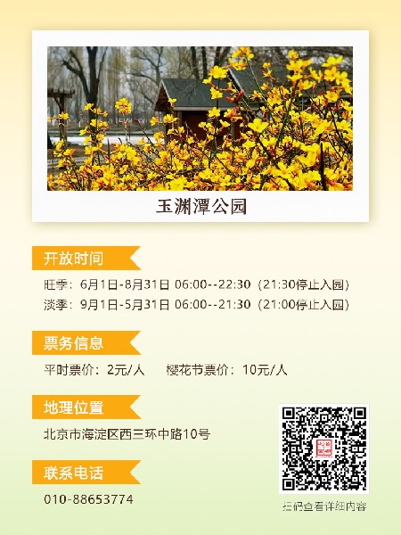 追花指南第二期！京城三月里最撩人的玉蘭觀賞地