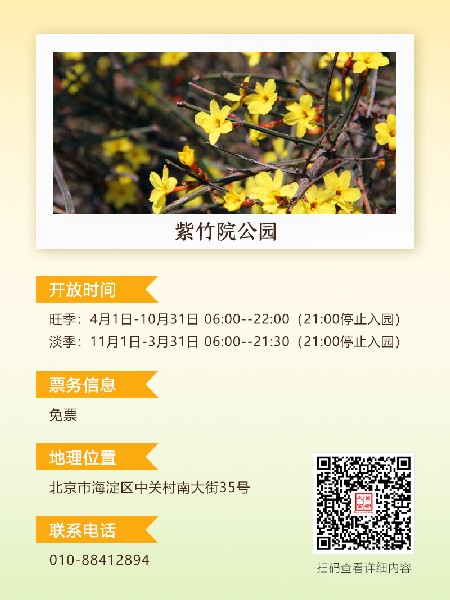 追花指南第二期！京城三月里最撩人的玉蘭觀賞地