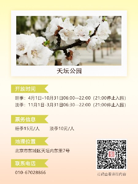 追花指南第六期！杏花雨 楊柳風(fēng) 北京最美的杏花在這里