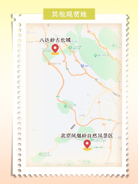 追花指南第六期！杏花雨 楊柳風(fēng) 北京最美的杏花在這里