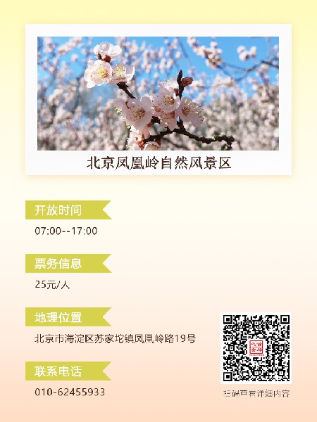 追花指南第六期！杏花雨 楊柳風(fēng) 北京最美的杏花在這里