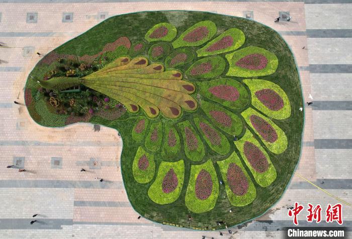 圖為航拍花壇。(無人機照片) 翟羽佳 攝