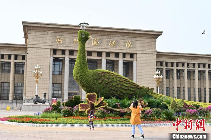 圖為游客在花壇前拍照打卡?！〉杂鸺?攝