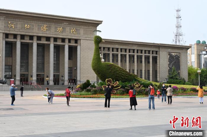 圖為游客在花壇前拍照打卡。　翟羽佳 攝