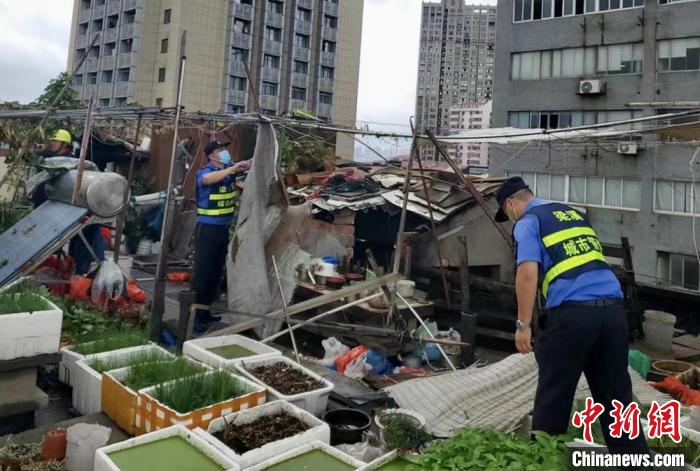 在一處居民樓屋頂，城管隊(duì)員拆除“空中菜園”?！〗疖?攝