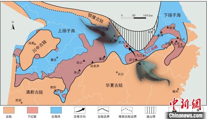 華南地區(qū)志留紀(jì)早期古地理圖和盔甲魚類化石產(chǎn)地(山顯任改自陳旭、戎嘉余，1996；戎嘉余等，2012) 中科院古脊椎所 供圖