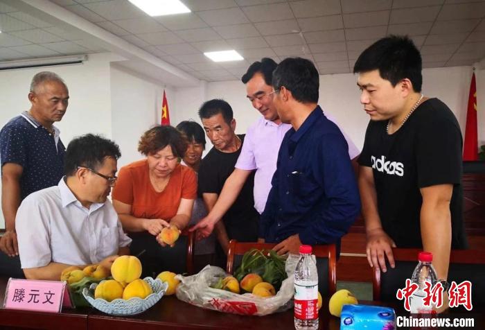 民進(jìn)浙江省委會為三里橋黃桃種植戶送技術(shù)、送指導(dǎo)。　嘉善統(tǒng)戰(zhàn) 供圖