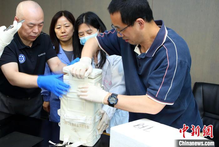 科研人員查看隨神舟十五號返回地面的空間科學實驗樣品?！≈锌圃嚎臻g應(yīng)用中心 供圖