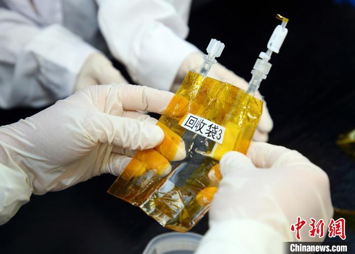 隨神舟十五號返回地面的空間科學實驗樣品?！≈锌圃嚎臻g應(yīng)用中心 供圖