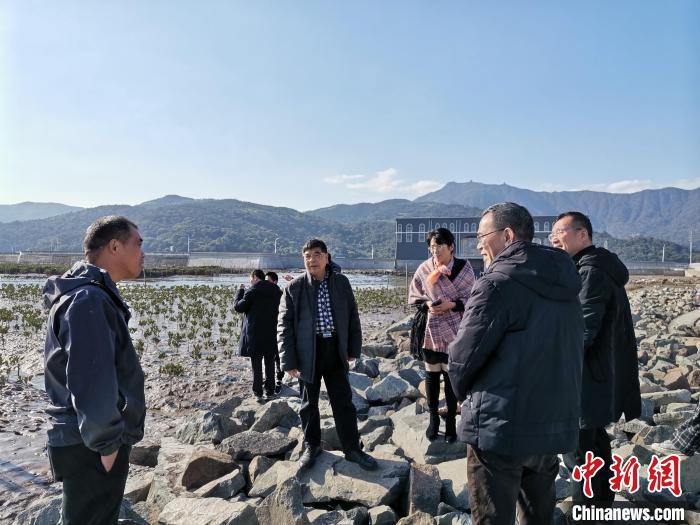 浙江海洋生態(tài)觀察：智慧大腦如何解鎖藍(lán)色發(fā)展密碼？