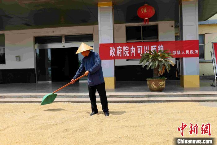 村民在棗莊市嶧城區(qū)古邵鎮(zhèn)政府大院內晾曬糧食。　胡瑾瑜 　攝