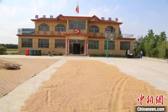農民在邳莊鎮(zhèn)尚莊村黨群服務中心大院里曬糧?！≠Z萌 攝