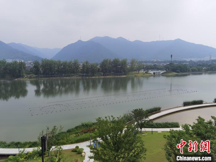 兩岸媒體共探杭州亞運(yùn)會“綠”在何處？