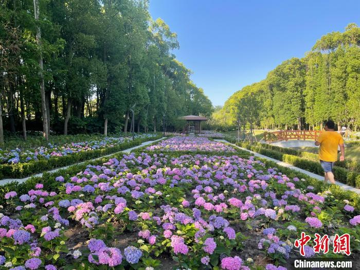 納民意、匯民智上海努力讓“公園城市”建設(shè)真正“合民心”