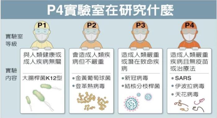 P4實驗室在研究什么。臺灣聯(lián)合新聞網(wǎng)資料圖