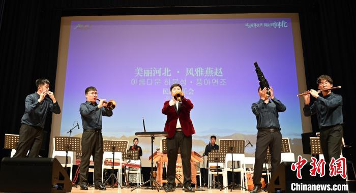 圖為音樂(lè)會(huì)現(xiàn)場(chǎng)?！∈谞栔袊?guó)文化中心供圖