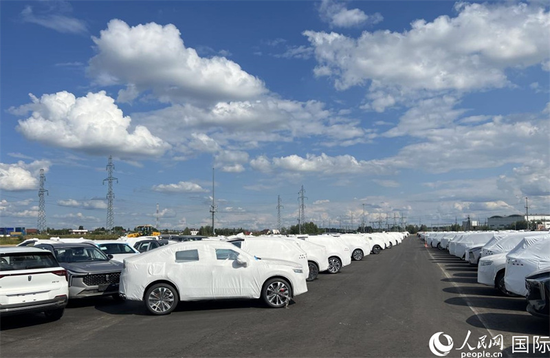 莫斯科別雷拉斯特物流中心內(nèi)的中國(guó)品牌汽車。人民網(wǎng)記者 申佳平攝