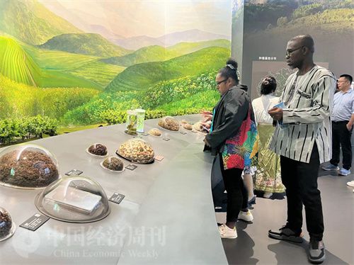   （在中國(guó)藥都中醫(yī)藥博物館，外媒記者了解中醫(yī)藥發(fā)展史。中國(guó)經(jīng)濟(jì)周刊記者 郭志強(qiáng) 攝）