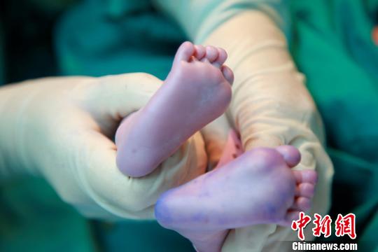 資料圖。簡(jiǎn)文楊 攝