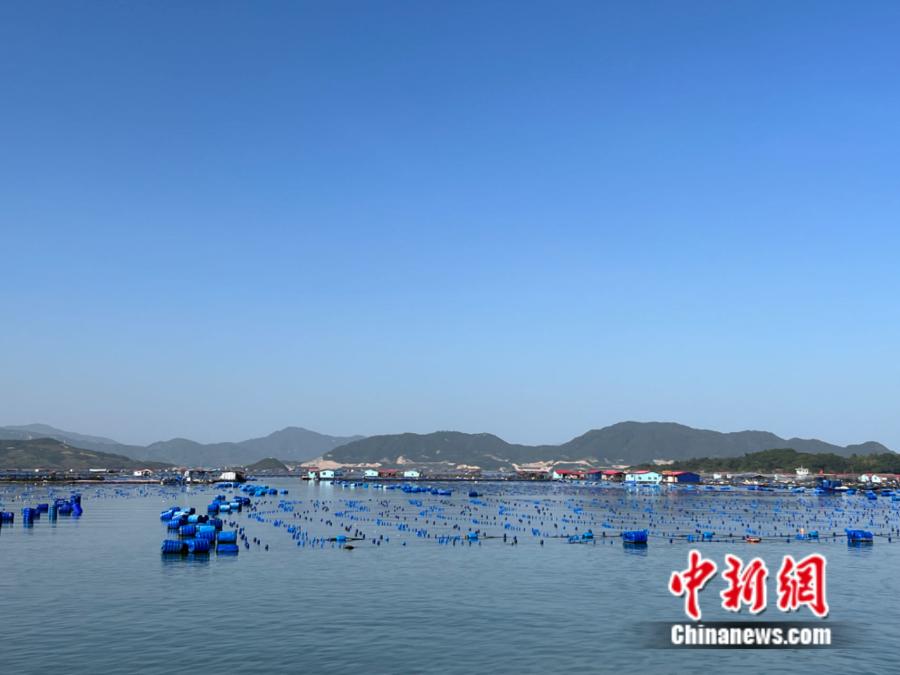 霞浦縣海上魚排。<a target='_blank' href='/' ><p  align=