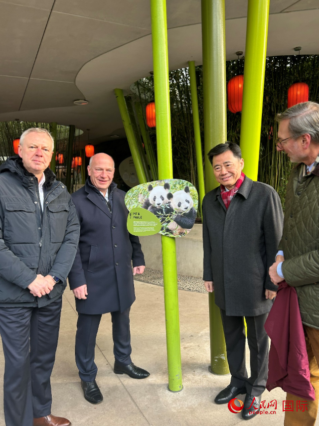 中國駐德國大使吳懇（右二）、柏林市長(zhǎng)韋格納（左二）、動(dòng)物園園長(zhǎng)克尼里姆（右一）和監(jiān)事會(huì)主席布魯克曼（左一）共同為“夢(mèng)想”“夢(mèng)圓”大熊貓紀(jì)念牌揭幕。人民網(wǎng)記者 徐馨攝