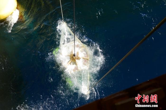 機器人入水瞬間。<a target='_blank' href='/' _fcksavedurl='/' ><p  align=