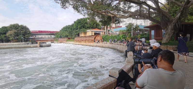 筼筜湖畔，許多攝影愛好者在拍攝白鷺。廈門市觀鳥協(xié)會(huì)彭志偉供圖