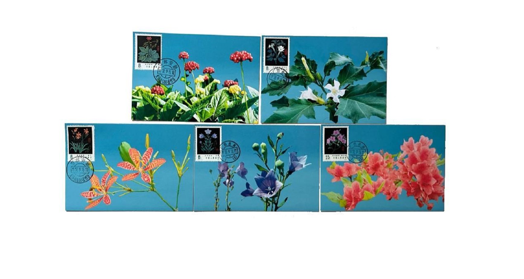 首套藥用植物極限片。第七屆阿聯(lián)酋集郵展主辦方供圖