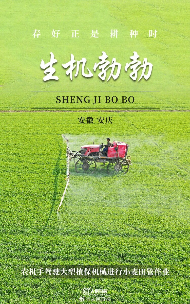生機(jī)盎然！用課本封面打開春耕畫卷