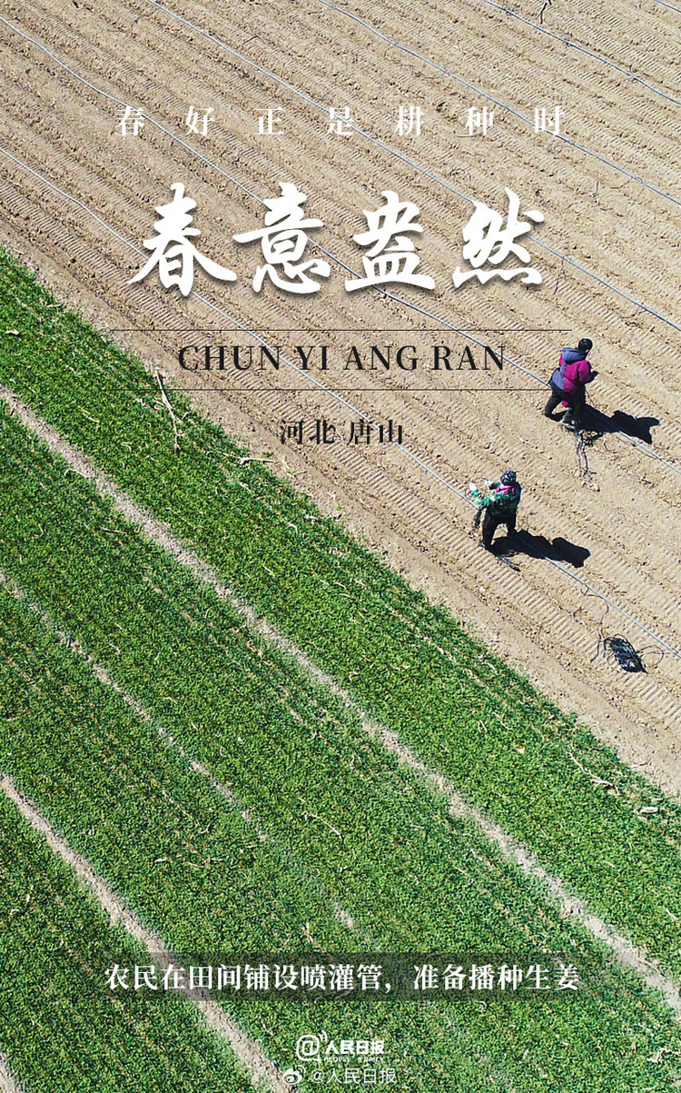 生機(jī)盎然！用課本封面打開春耕畫卷