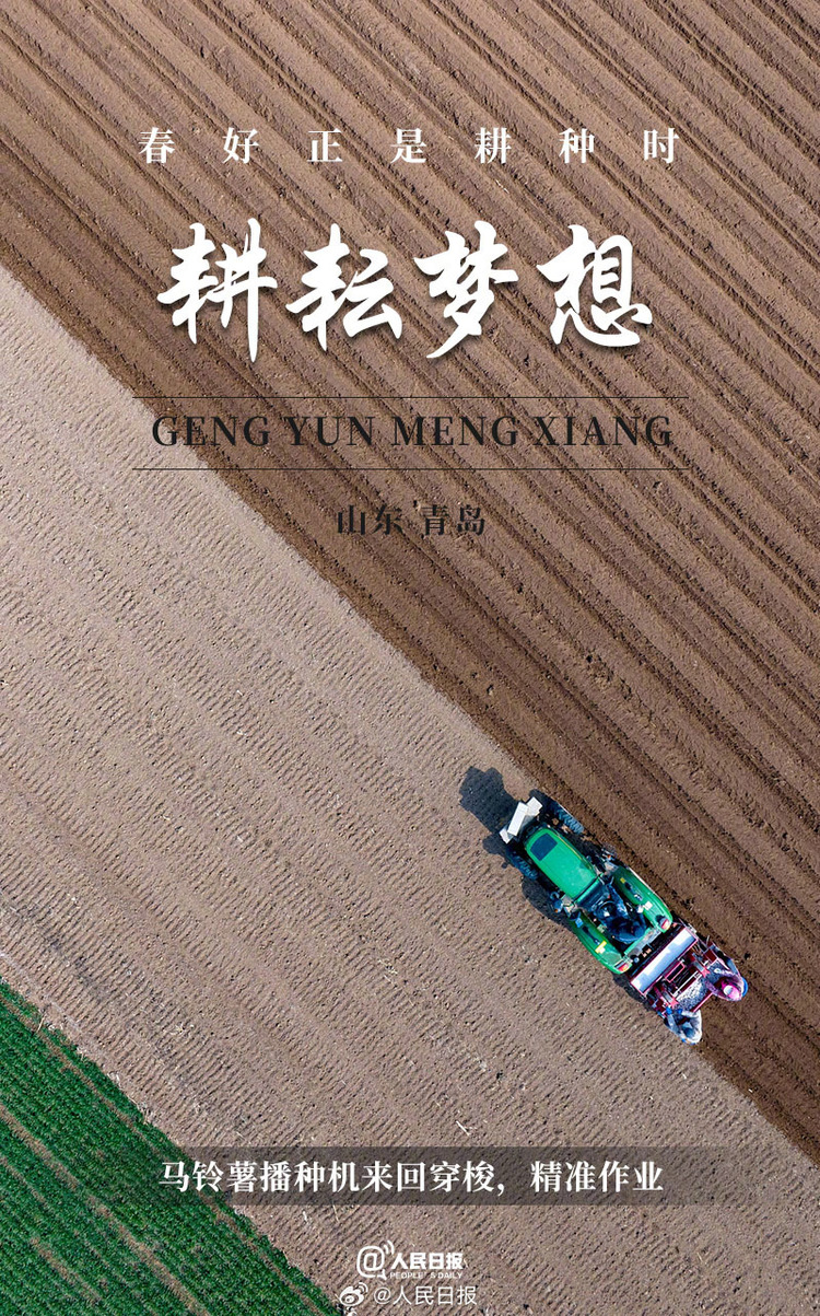 生機(jī)盎然！用課本封面打開春耕畫卷