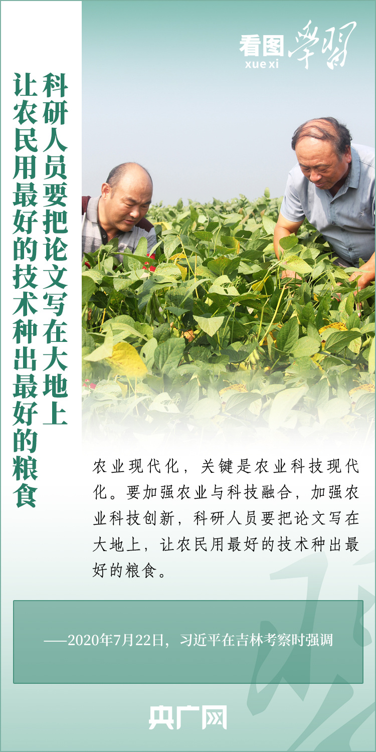 看圖學習丨推廣良田、良種、良法、良機 給農(nóng)業(yè)現(xiàn)代化插上科技的翅膀