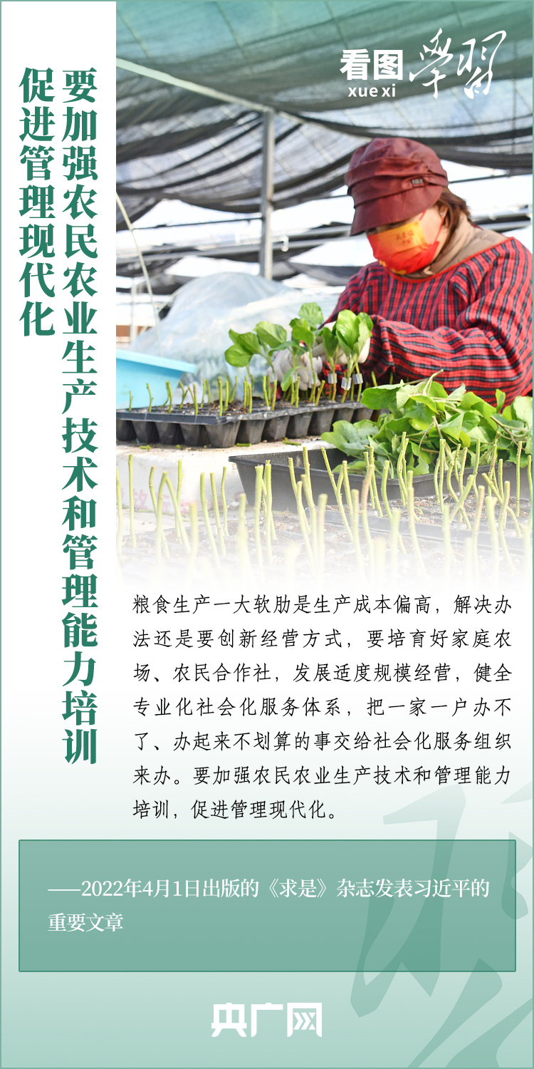 看圖學習丨推廣良田、良種、良法、良機 給農(nóng)業(yè)現(xiàn)代化插上科技的翅膀