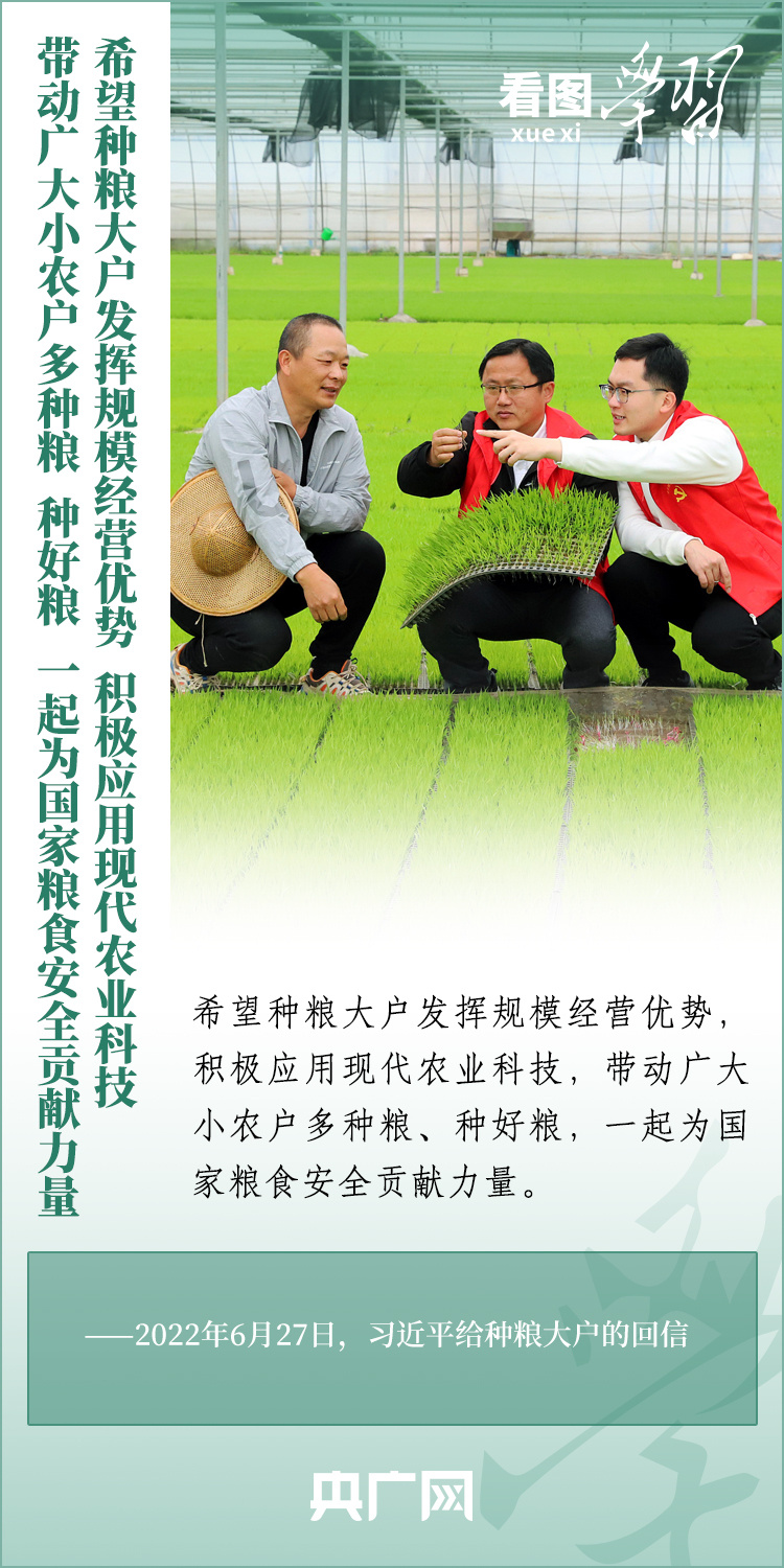 看圖學習丨推廣良田、良種、良法、良機 給農(nóng)業(yè)現(xiàn)代化插上科技的翅膀