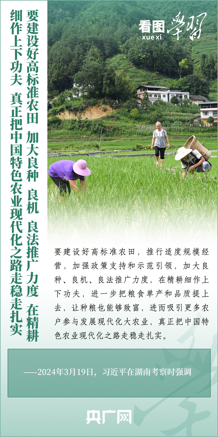 看圖學習丨推廣良田、良種、良法、良機 給農(nóng)業(yè)現(xiàn)代化插上科技的翅膀