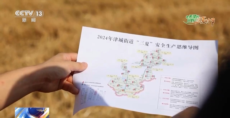 “三夏”生產(chǎn)思維導(dǎo)圖安排上了！還有政府大院等你來“曬”