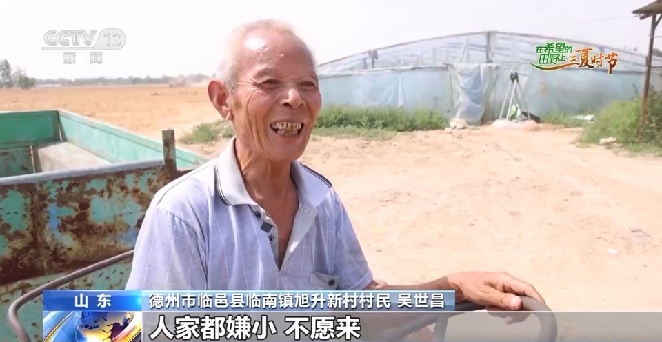 “三夏”生產(chǎn)思維導(dǎo)圖安排上了！還有政府大院等你來“曬”
