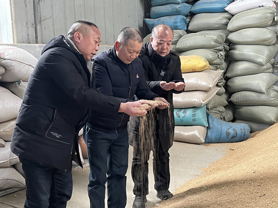 桃江種糧大戶(hù)與農(nóng)村農(nóng)業(yè)局技術(shù)人員正在查看春耕種子情況。受訪(fǎng)單位供圖