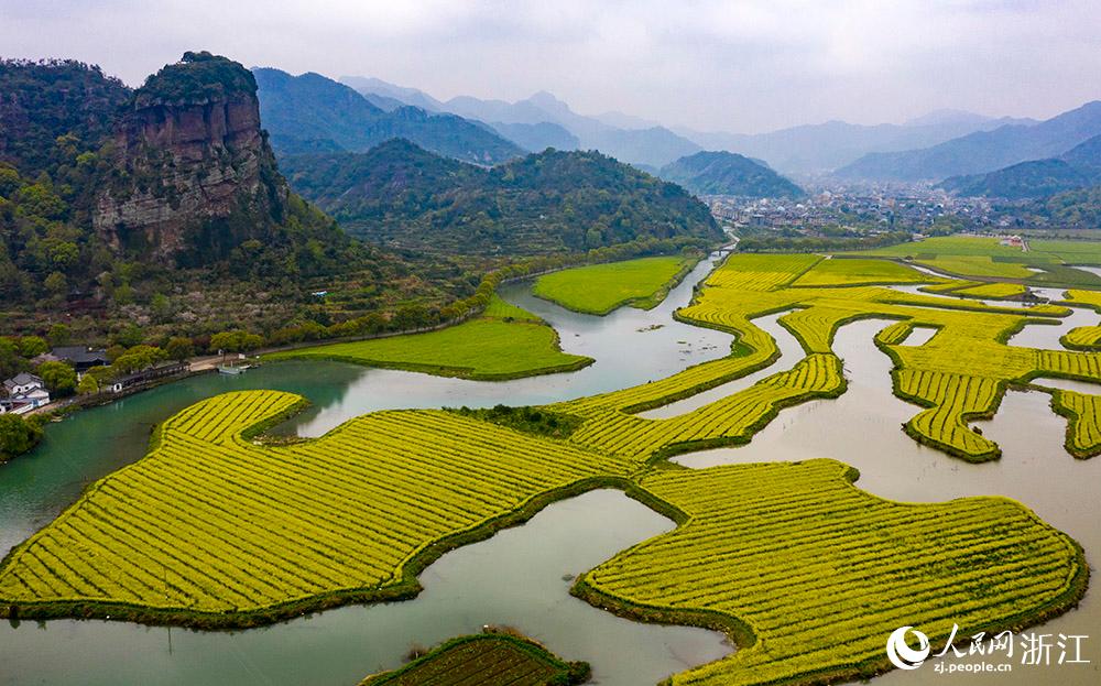 3月28日，航拍浙江省臨海市桃渚鎮(zhèn)桃江十三渚盛開的油菜花景色。人民網 章勇濤攝