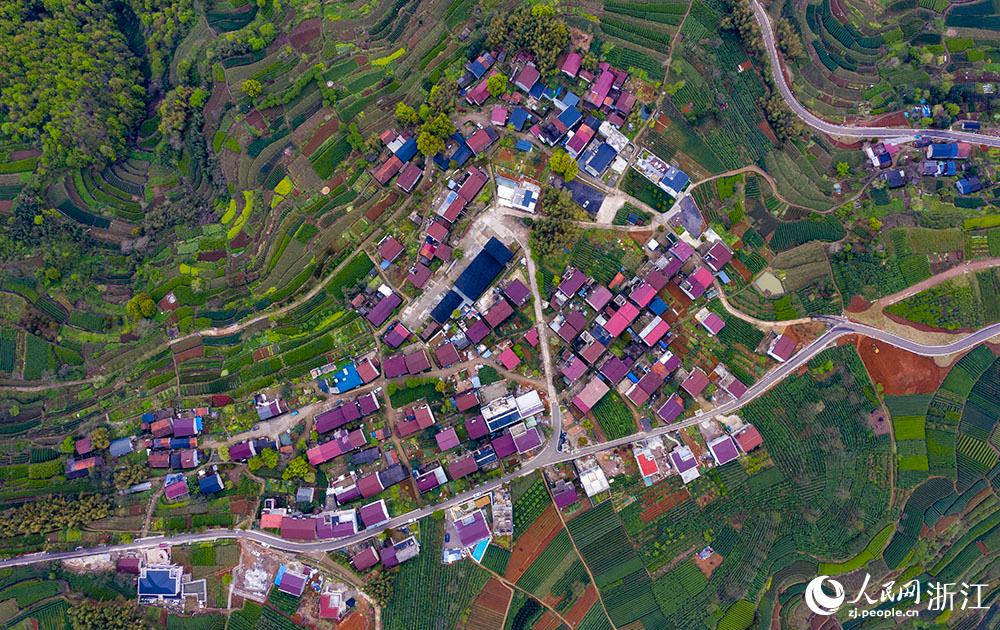 4月1日，紹興市新昌縣東茗鄉(xiāng)下巖貝村風(fēng)光秀麗，茶園旖旎。人民網(wǎng) 章勇濤攝